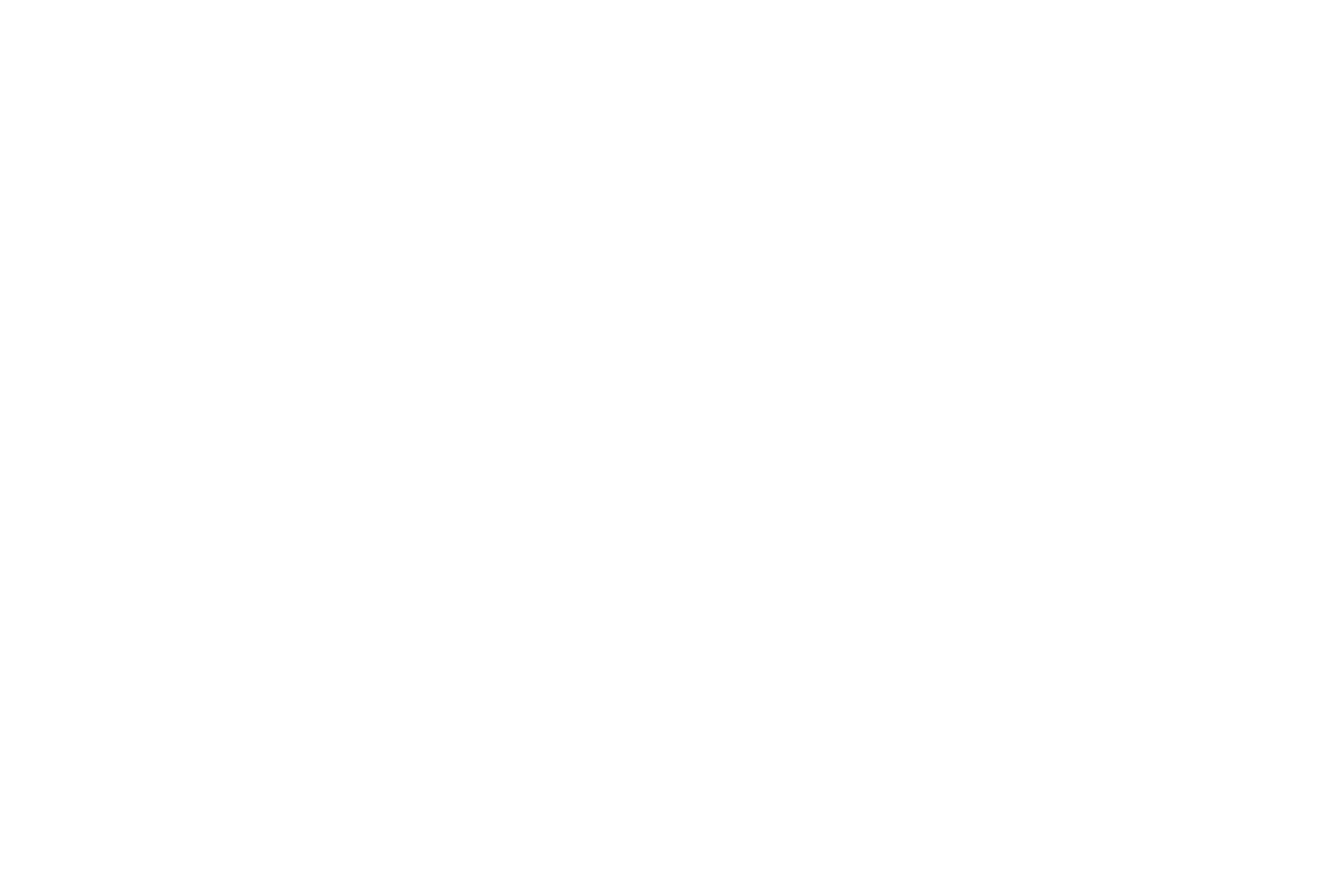 R4 Logo
